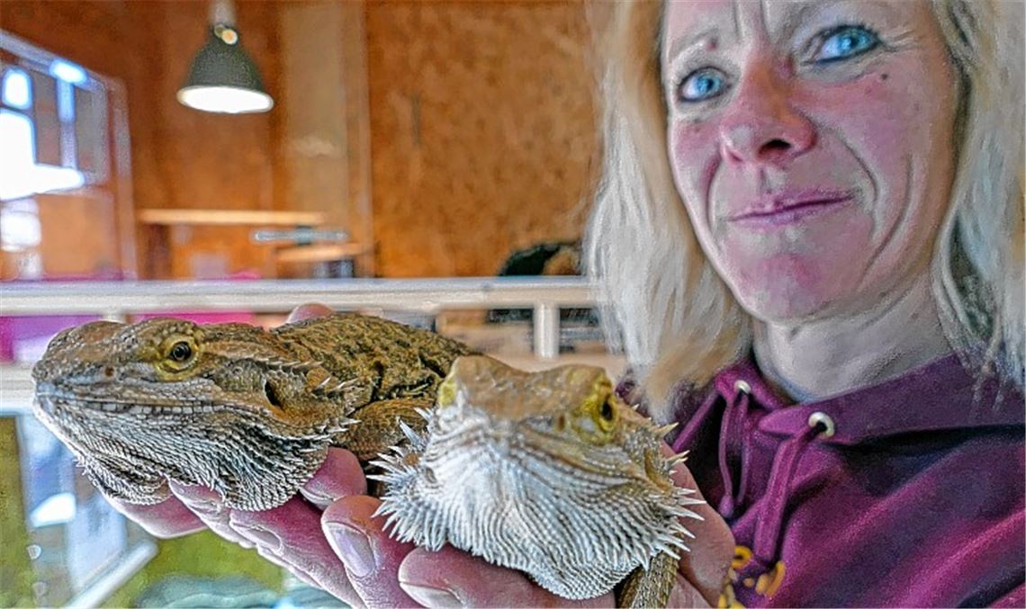 Tierheim beklagt Trend zu Exoten Tierheim beklagt Trend zu Exoten