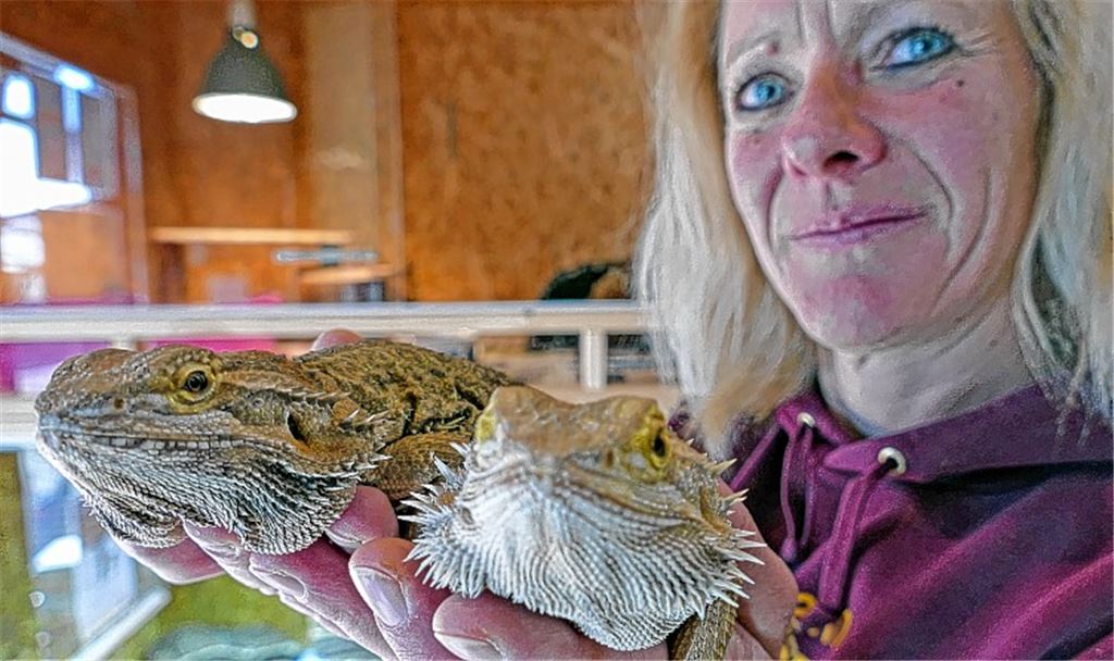 Tierheim beklagt Trend zu Exoten