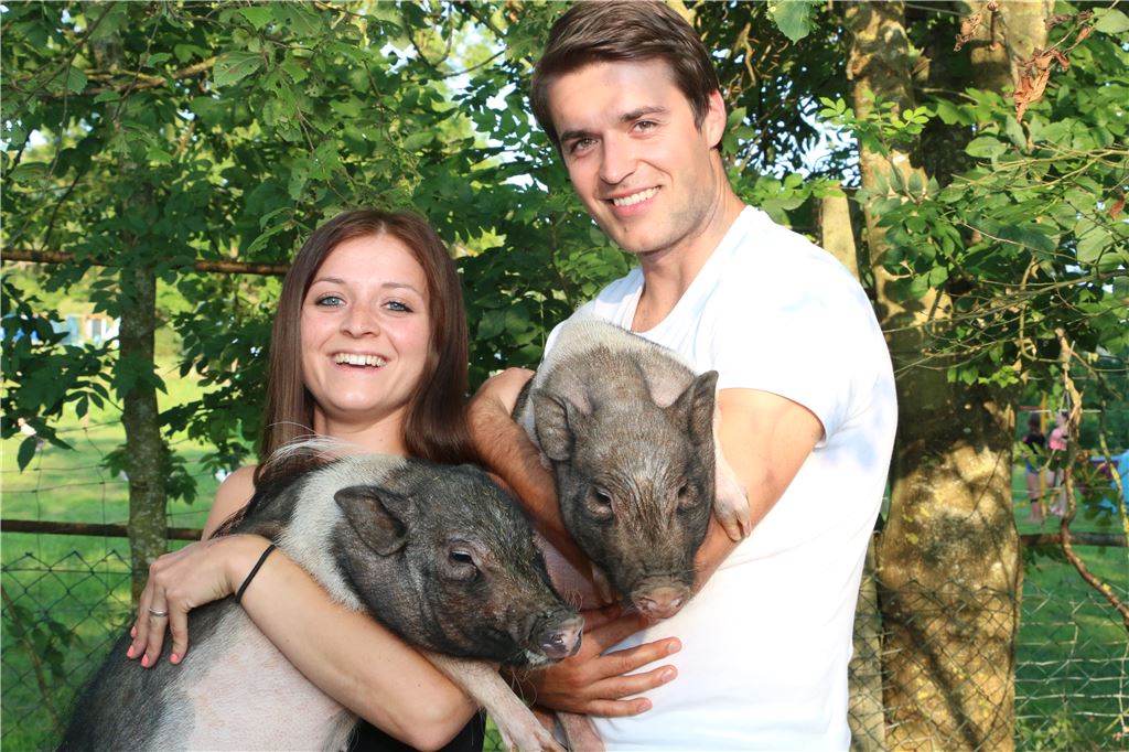 lh Hund Katze Maus Schweine Schützingen (2)