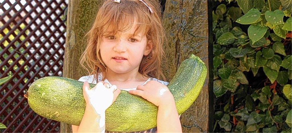 Hannah trägt schwer an einer überdimensionalen 2,6-Kilogramm-Zucchini.