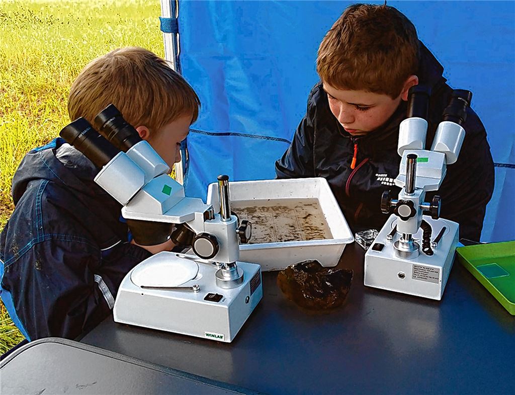 Hannes und Jan begutachten ihre Funde, die auch auf dem Videobildschirm von Dr. Daniel Baumgärtners Ökomobil zu sehen sind.privat