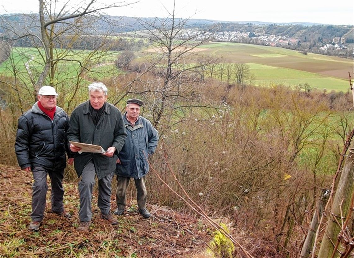 Hans Haug, Hermann Gommel und Helmut Bus (v. li.) vom Albverein Mühlacker wollen mit Naturschutzinteressierten überwucherte Hangflächen in Mühlhausen frei räumen. Foto: Fotomoment