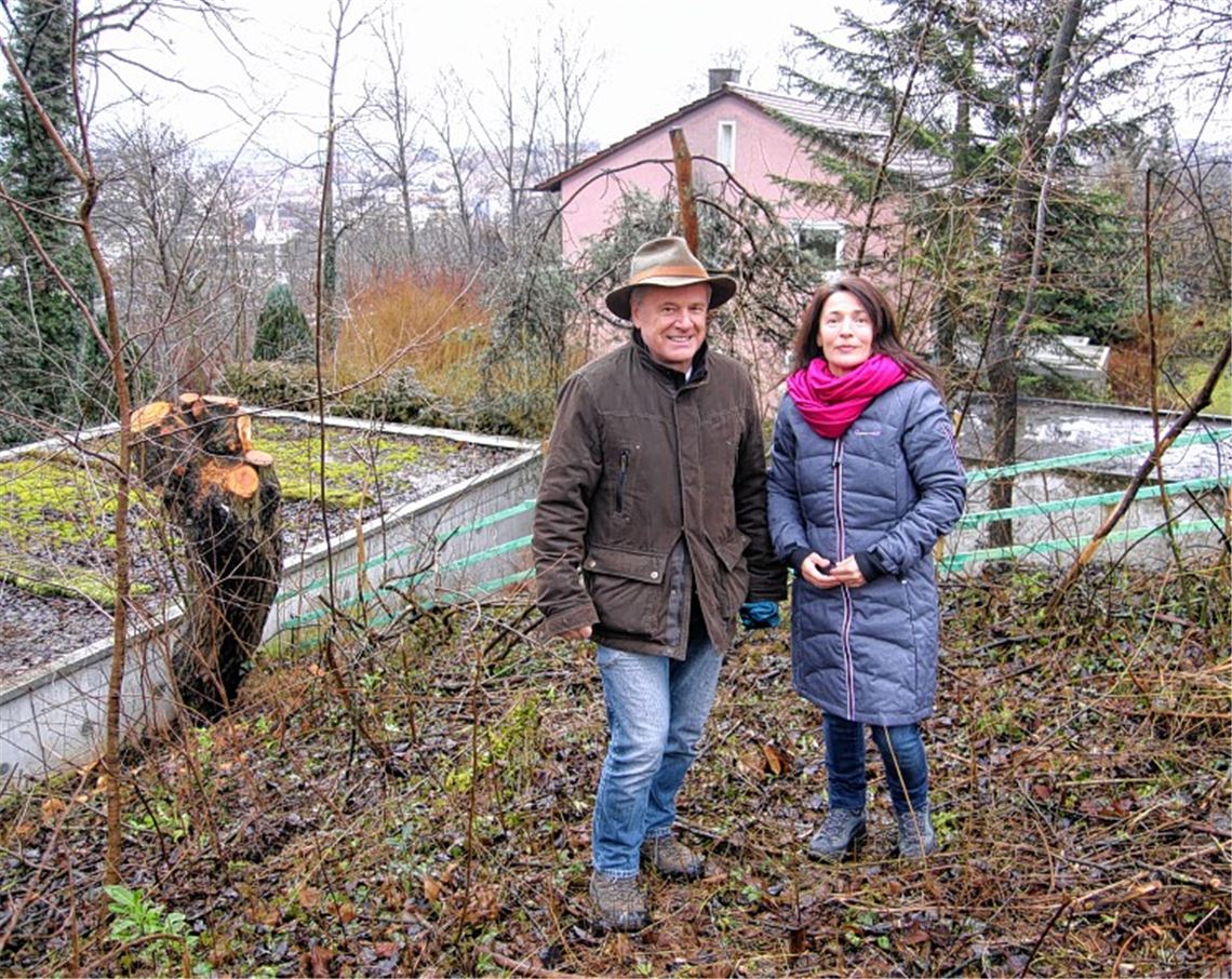 Hans Peter und Sabine Walther bedauern, dass die Weide auf ihrem Nachbargrundstück stark zurückgeschnitten wurde.