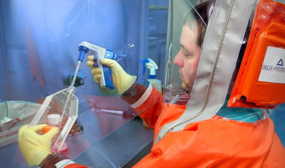 Hantavirus-Analyse im Labor – vor allem in Amerika gibt es gefährliche Varianten.