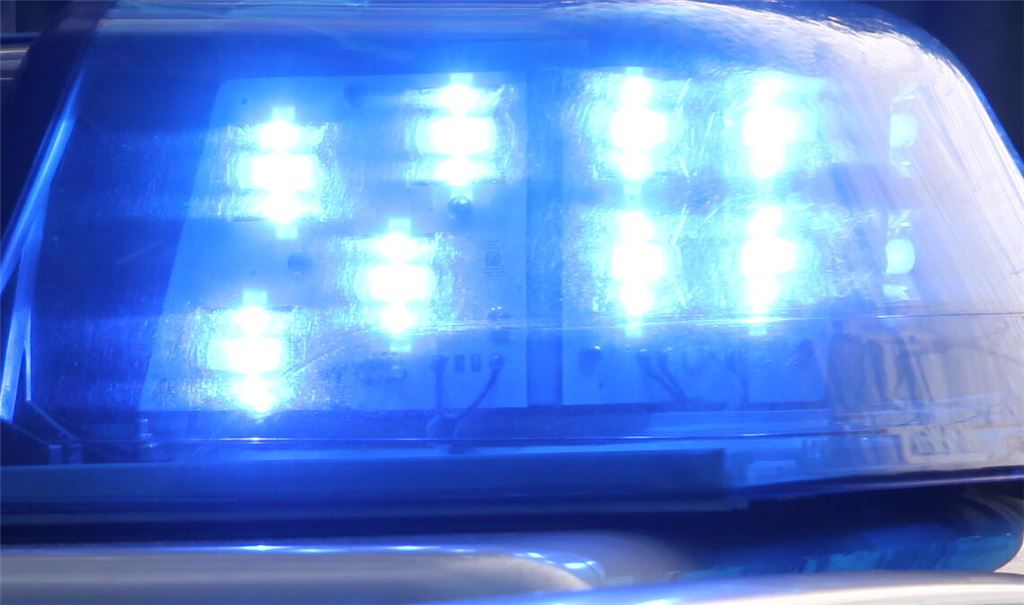 Heftige Beißattacke führt im Zug zu Beißabwehr. Symbolfoto: Archiv 