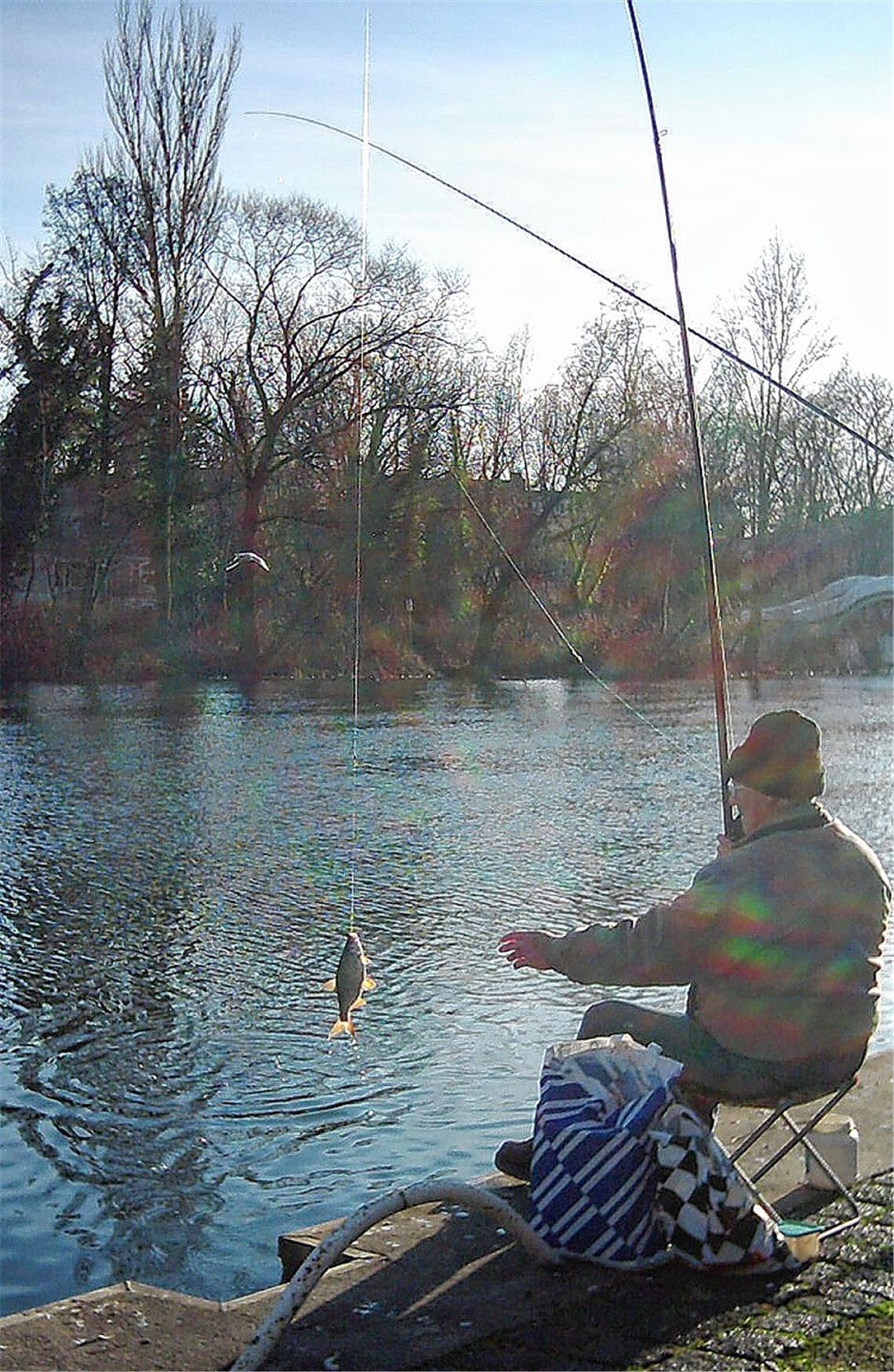 Hegefischen oder Tierquälerei? Die Meinungen zum Angelsport gehen weit auseinander. Die Klage der Tierschutzorganisation Peta wird immer noch heiß diskutiert. Foto: soquett/pixelio