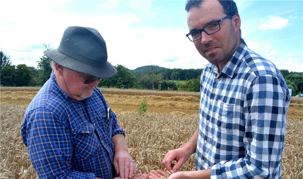 Heiko Schneider (li.) und Dr. Christoph Gutjahr begutachten den Winterweizen. Fotos: Stahlfeld