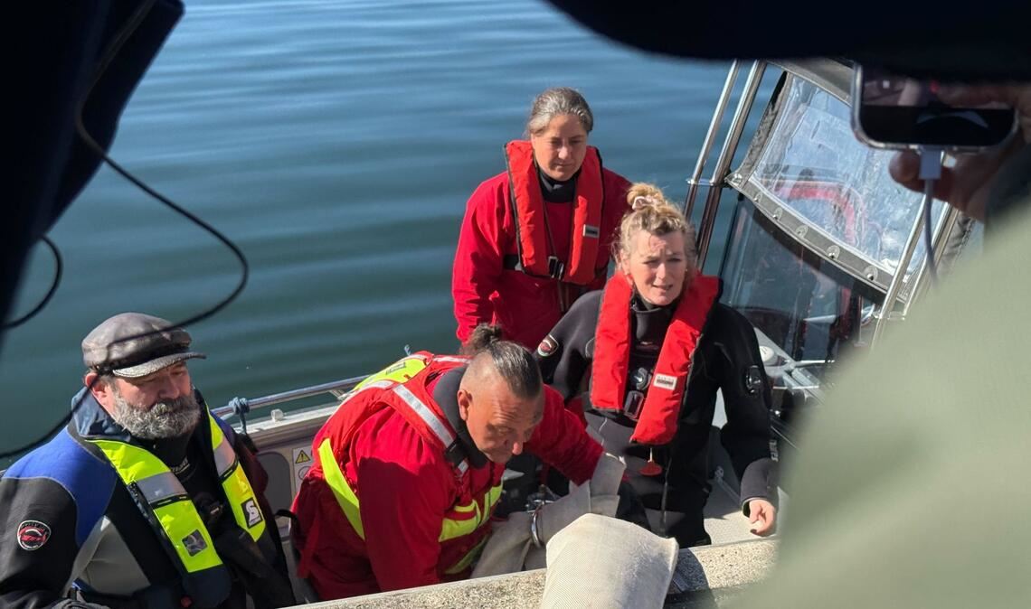 Helfer besteigen ein Boot, um zum Wal hinauszufahren.