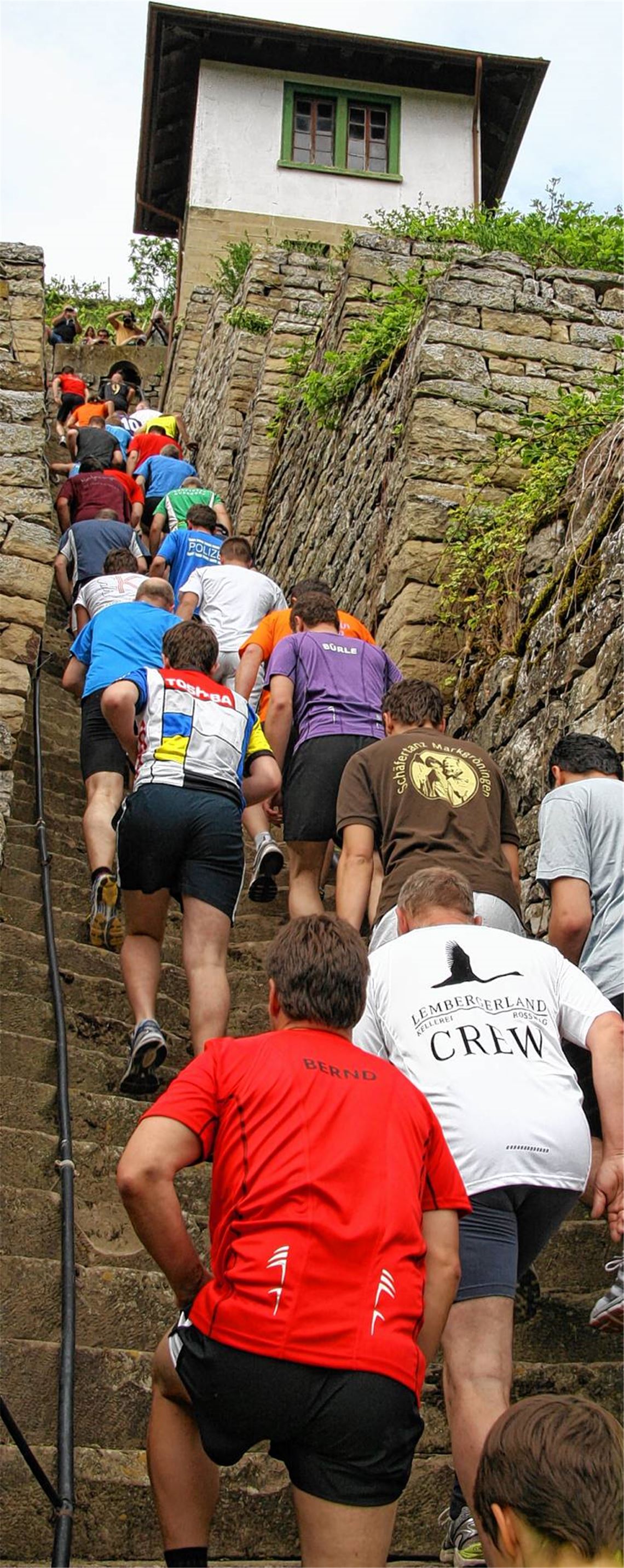 Herausforderung für kräftige Waden: Der Aufstieg durch die Roßwager Weinberge.  Foto: Arning