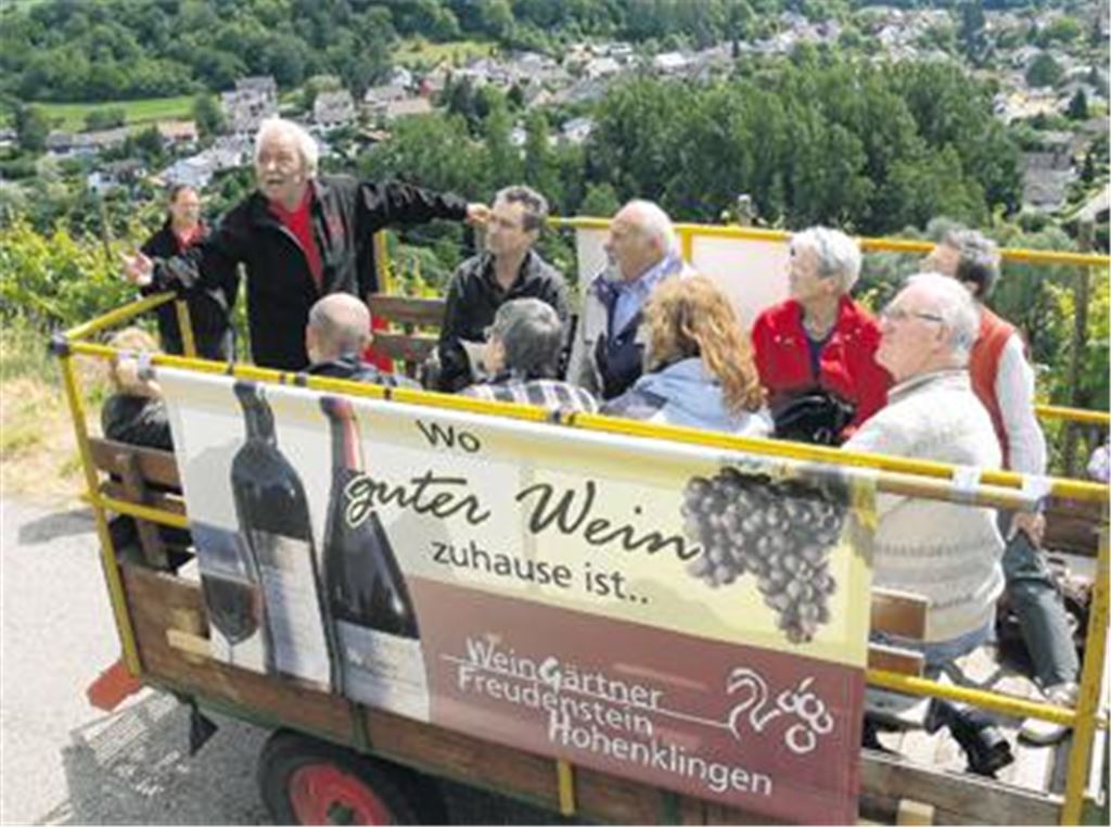 Herbert Schmitzer leitet die Weinbergführung in Freudenstein-Hohenklingen. Von ihm erfahren die interessierten Besucher viel Wissenswertes. Fotos: Garhöfer