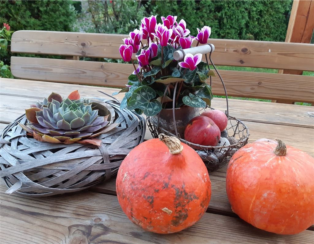 Herbstlicher Gruß für alle, die heute Geburtstag haben, von Hilke Pelz.