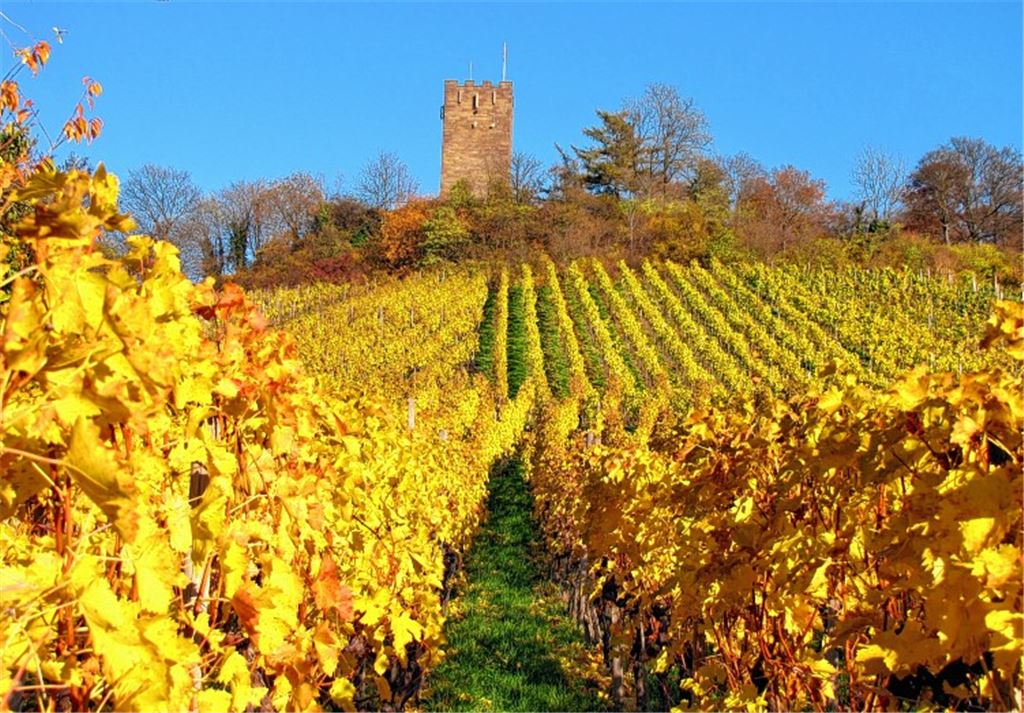 Herbstfarben