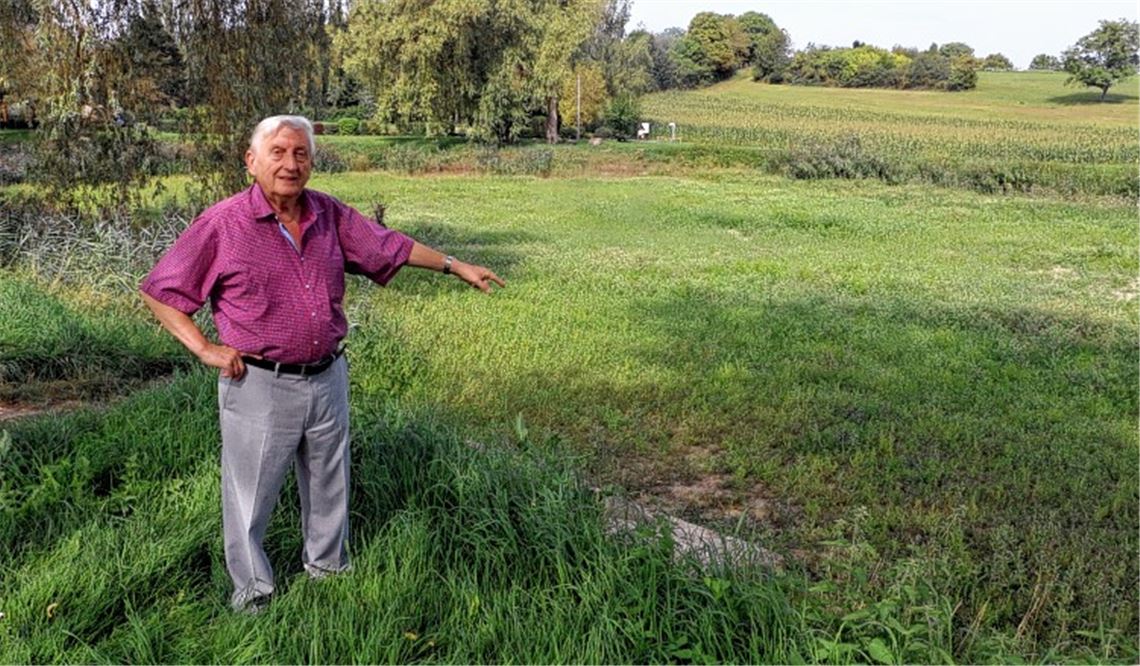 Der Wullesee ist eine Wullewiese