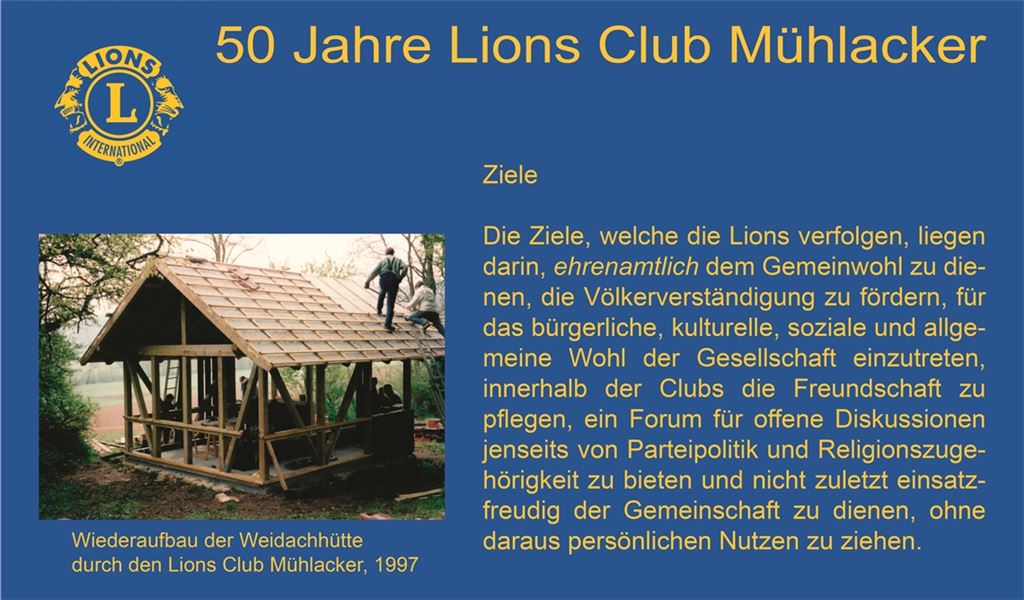 Hier eines der Gewinnspiel-Plakate, die an Mühlacker Geschäften angebracht werden.privat