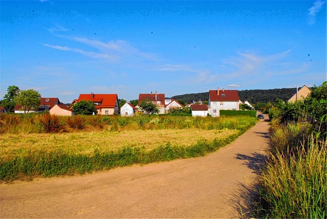Hier entsteht das Neubaugebiet „Lau“. Die Rückseite der Häuser an der Schillerstraße begrenzt das Gebiet zum Ort hin. Foto: Schott