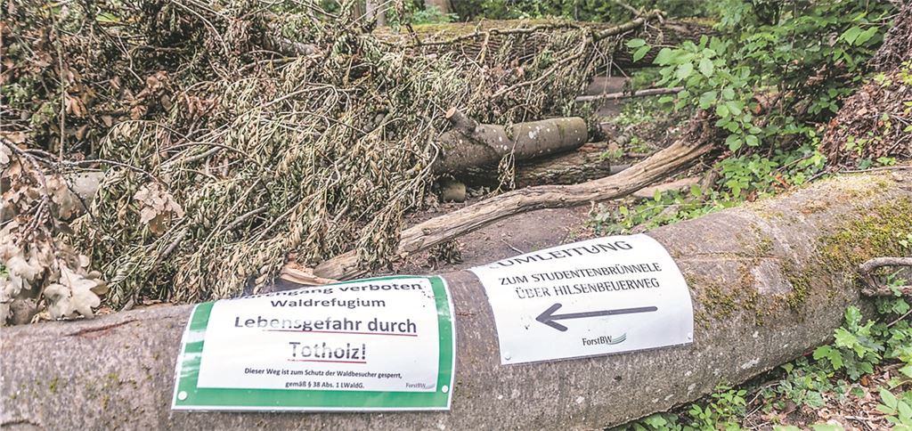 Hier geht es nicht mehr weiter. privat