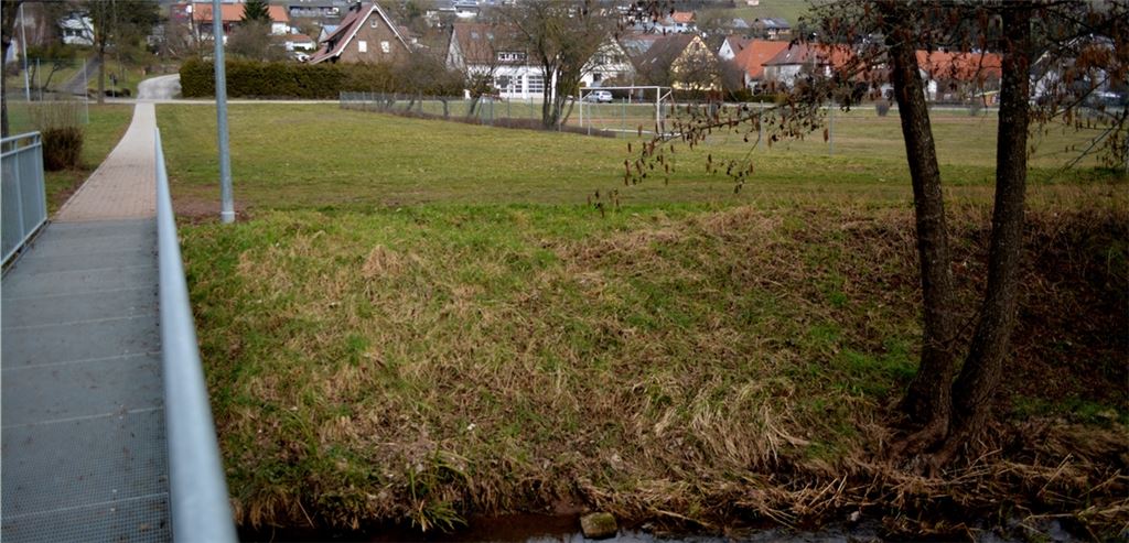 Hier soll nach dem Beschluss vom Dienstag der Schützinger Bouleplatz gebaut werden.Stahlfeld