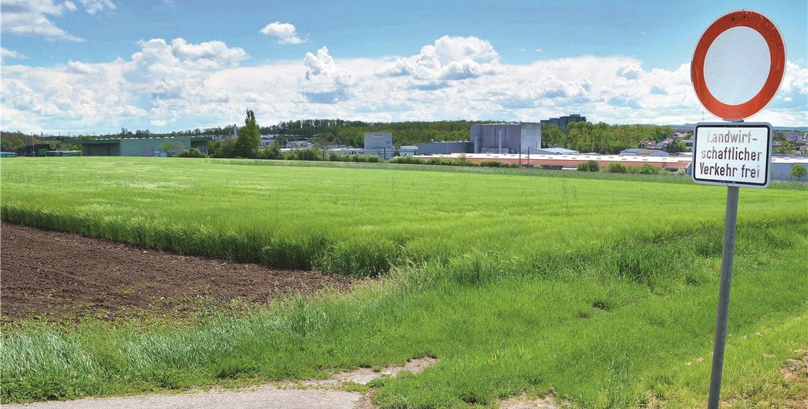 „Wo wollen wir in zehn Jahren stehen?“ Hier sollte vor über zehn Jahren ein Solarwohnpark entstehen. Die Pläne sollen noch einmal im Illinger Gemeinderat vorgestellt werden. Stahlfeld