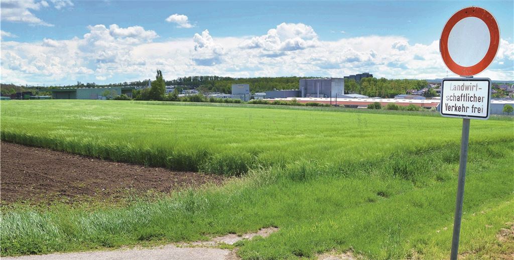 Hier sollte vor über zehn Jahren ein Solarwohnpark entstehen. Die Pläne sollen noch einmal im Illinger Gemeinderat vorgestellt werden. Stahlfeld