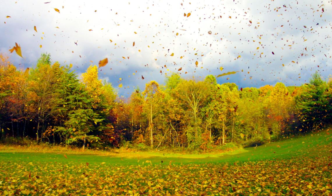 Hier wird es besonders windig.