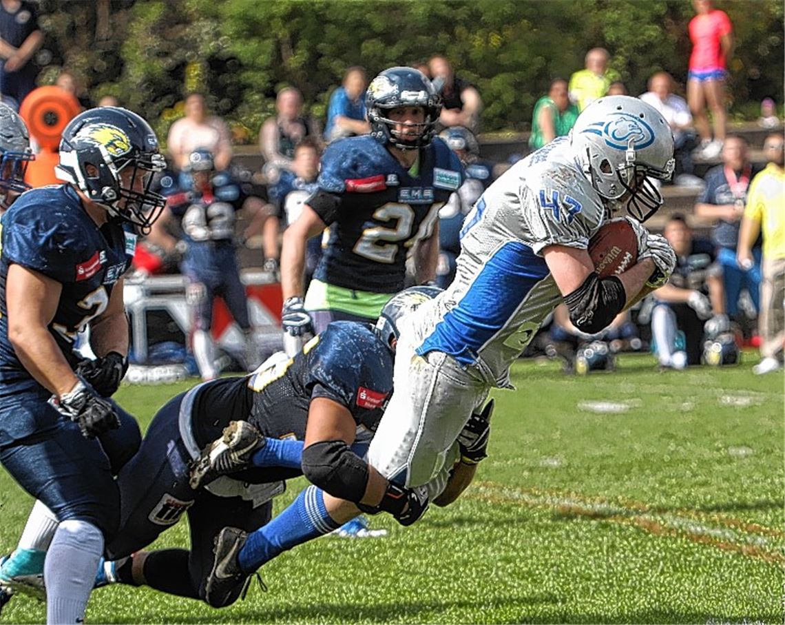 Fehlstart der Pforzheim Wilddogs