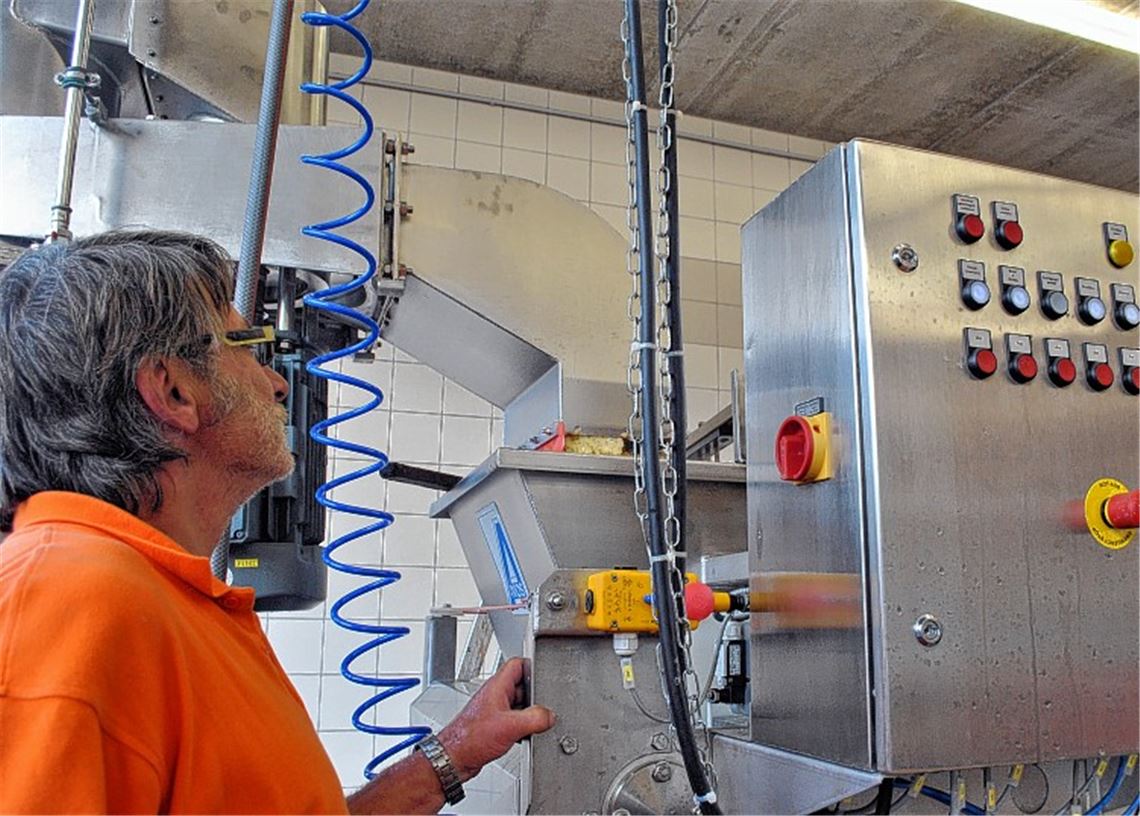 Hightech: Günter Kolb (li.) erklärt die Kelterarbeit in Ötisheim. „Bag-in-Box“ heißt das moderne Abfüllsystem (Bild rechts unten). Auch Trauben wurden bereits geerntet.Fotos: Stahlfeld