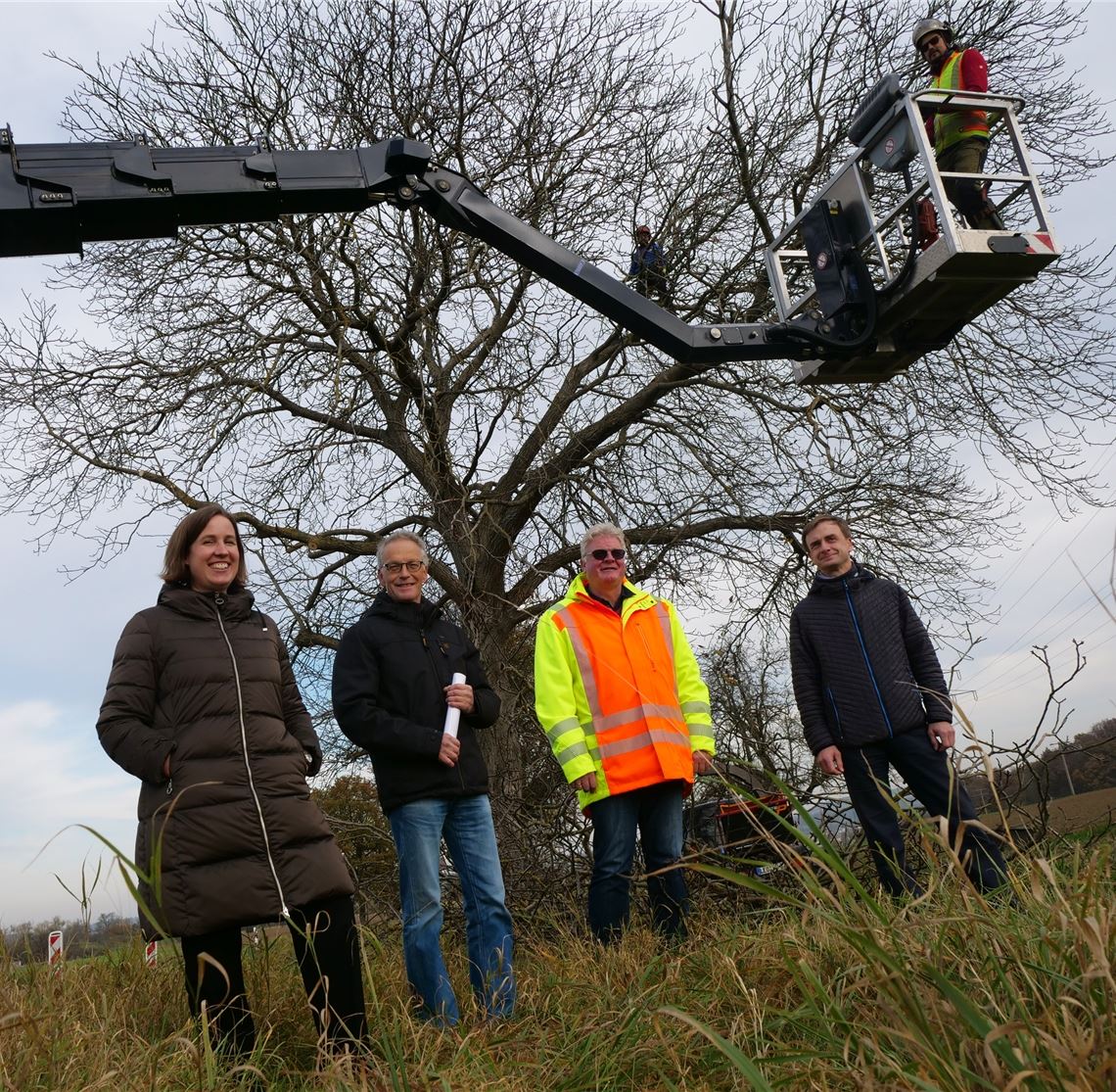 Hilde Neidhardt, Bernhard Reisch, Heinrich Elwert und Sven Besser (v.li.) machen sich vor Ort ein Bild von der Baumpflege entlang der Kreisstraße. Foto: Friedrich