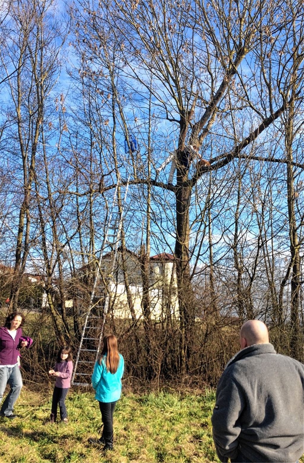 Hilfsaktion auf der Leiter.