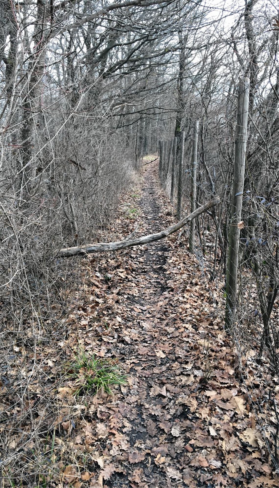 Hindernisse sollen Biker stoppen