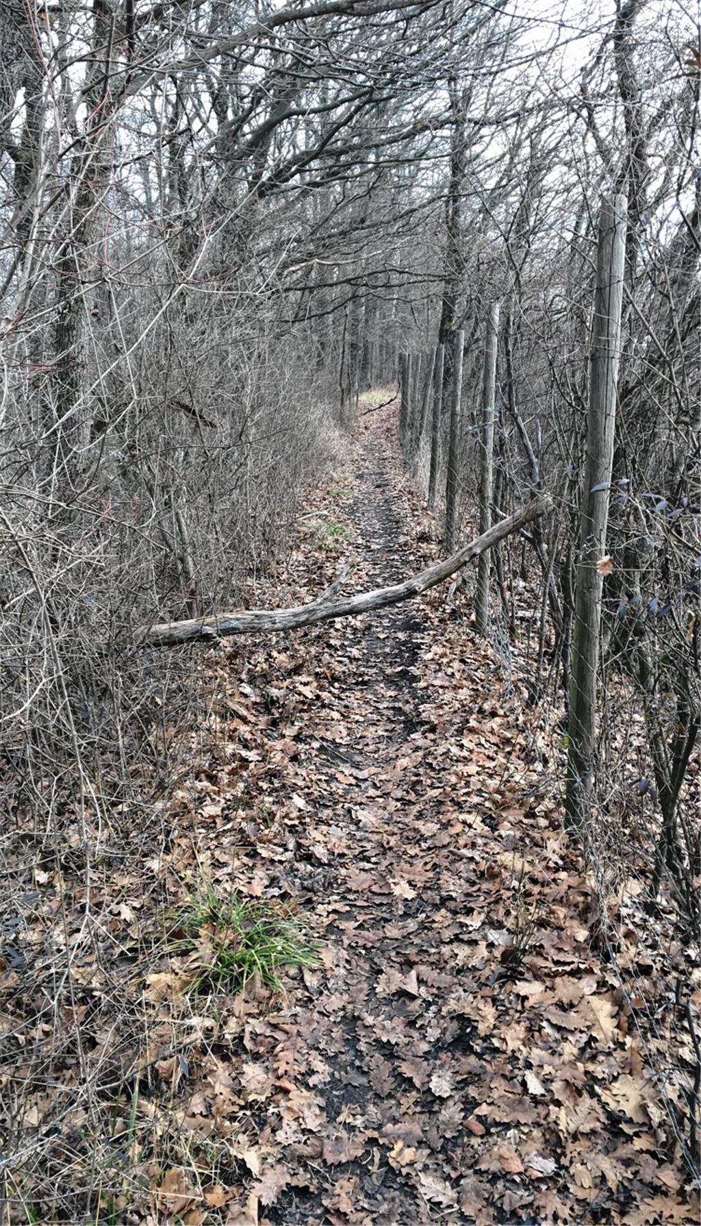 Hindernisse sollen Biker stoppen