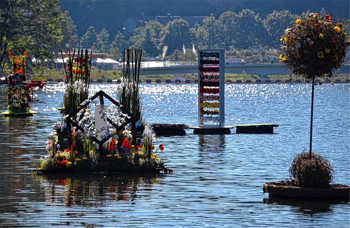 Hingucker auf der Enz.