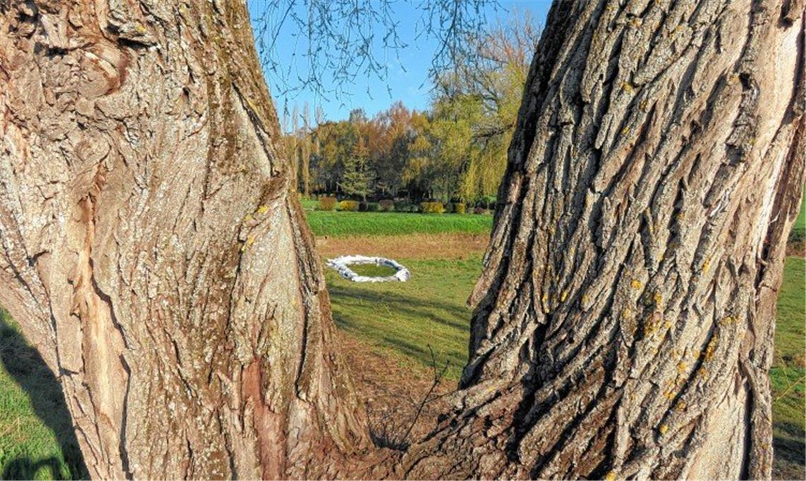 Dürrmenzer Seensucht