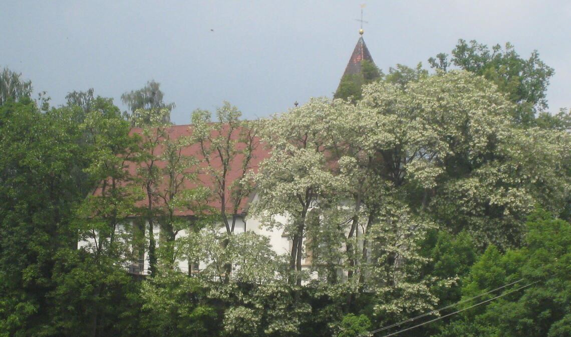 Hinter viel Grün versteckt: die Markuskirche im Stadtteil Großglattbach. Foto: Archiv