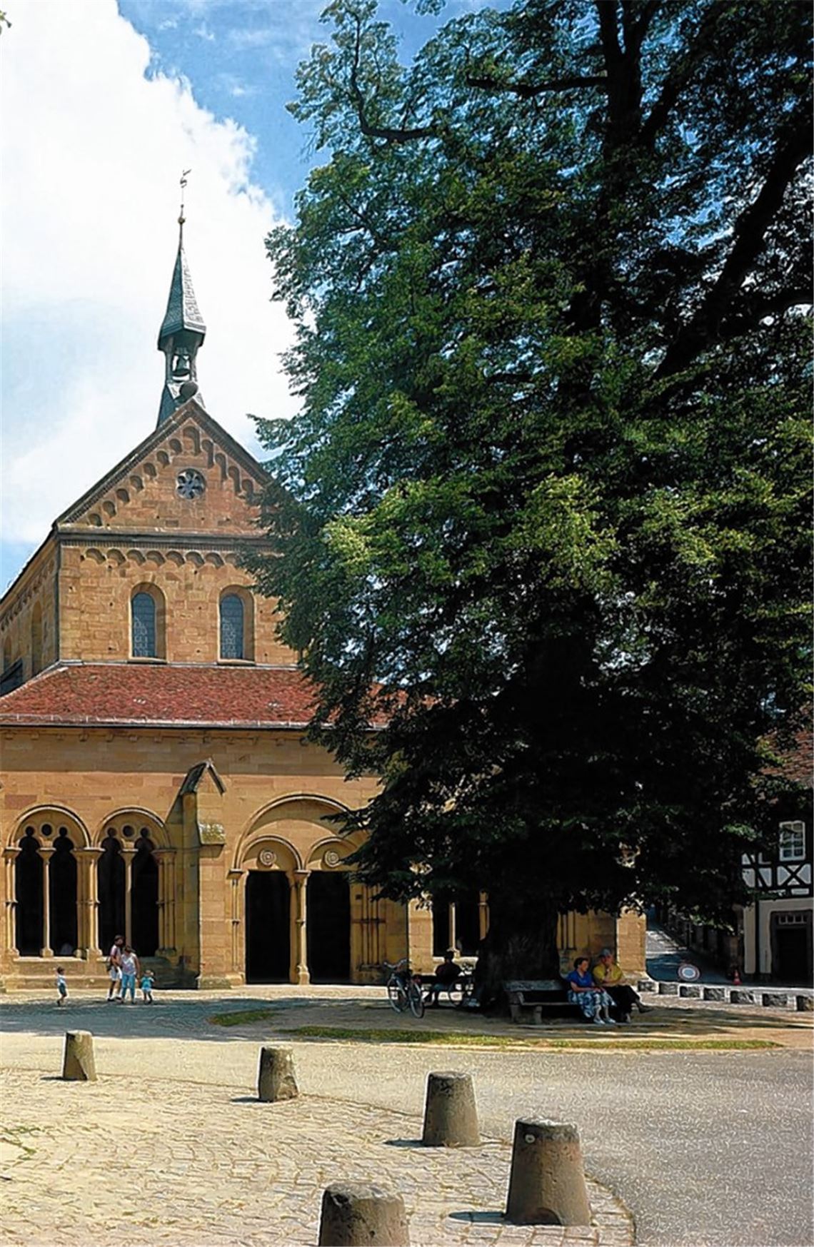 Hiobsbotschaft: Die stattliche „Friedenslinde“ vor dem Kloster ist akut bedroht.