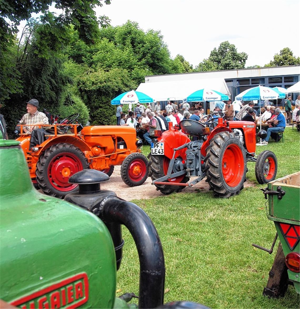 Historische Schlepper parken auf dem Festplatz hinter der Enztalhalle. Foto: Appich