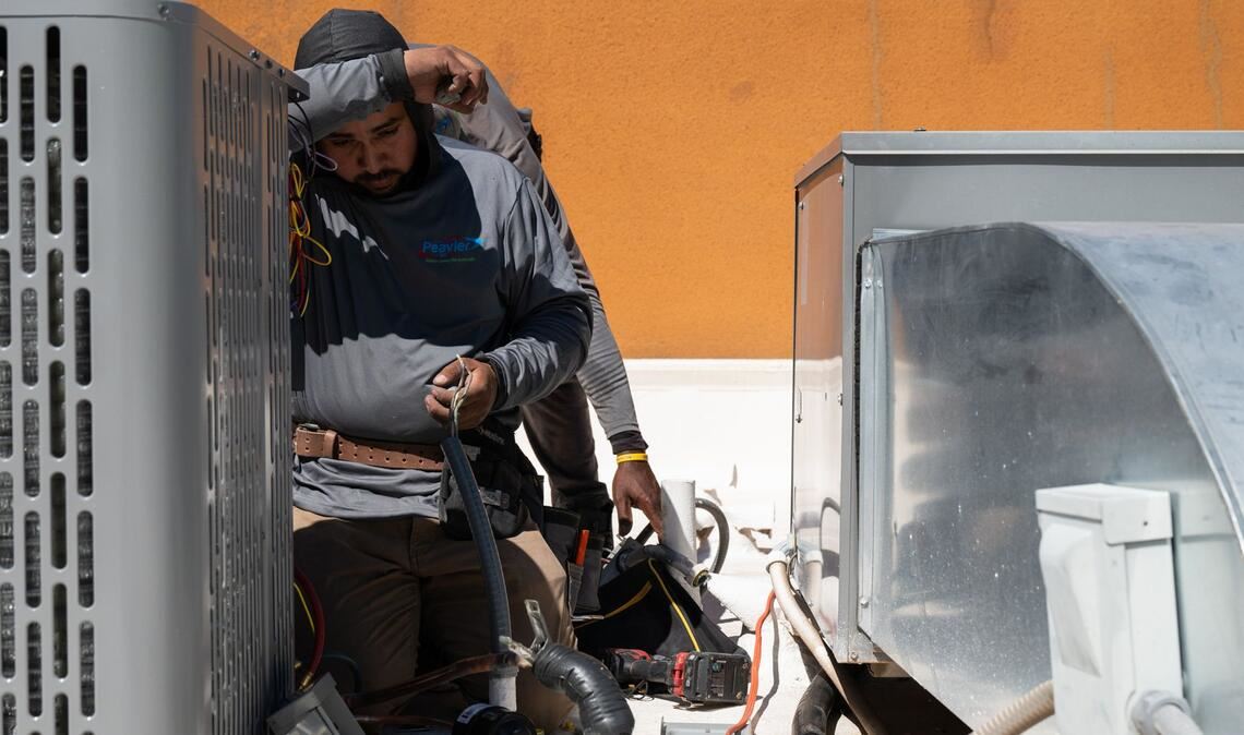Hitze wie sonst erst im Mai bringt die Menschen und Tiere in Arizona gerade an ihre Grenzen.