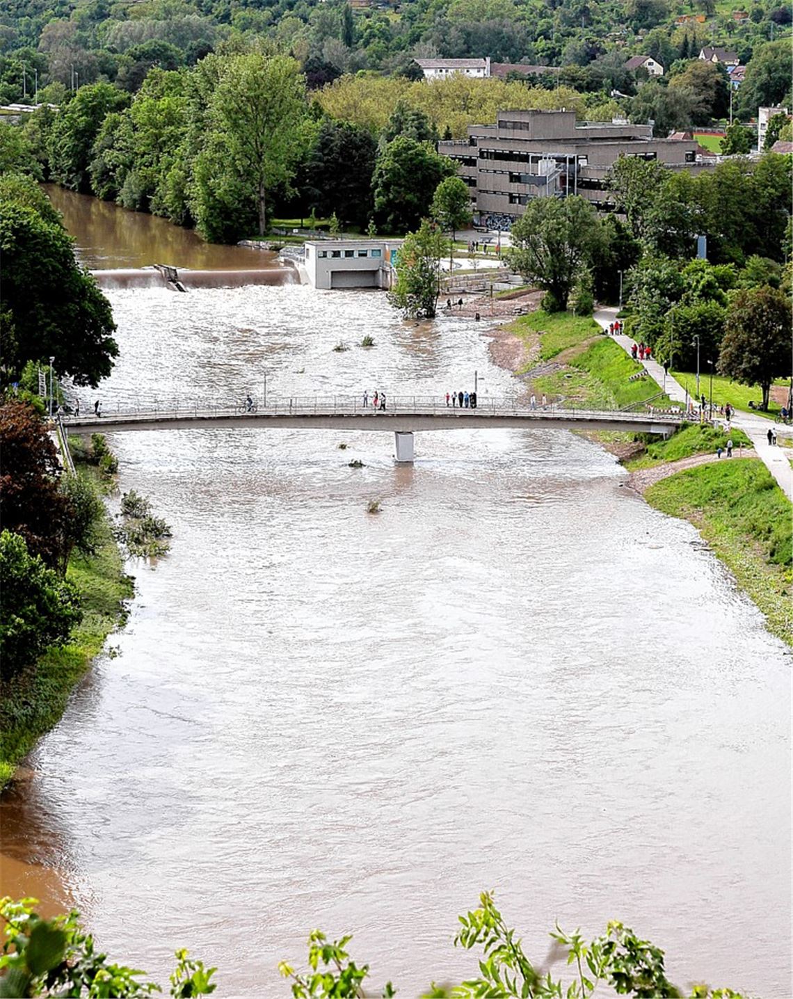 Hochwasser auf dem renaturierten Flussabschnitt. Ob die frische Einsaat am Enzvorland die Flut überstanden hat, wird sich erst in den nächsten Tagen zeigen.