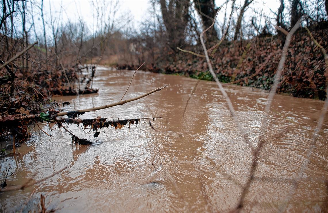 Hochwasserschutz: Anlieger stimmen fast alle zu