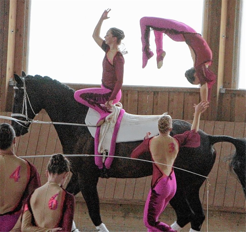 Pegasus-Voltigierer konkurrenzlos