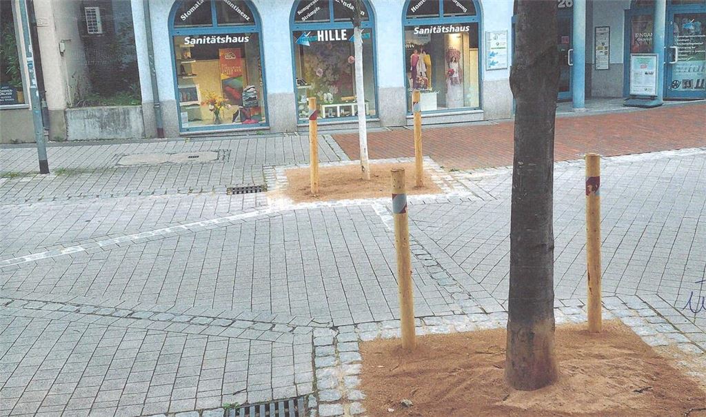 Holpoller schützen die Bäume. Foto: privat