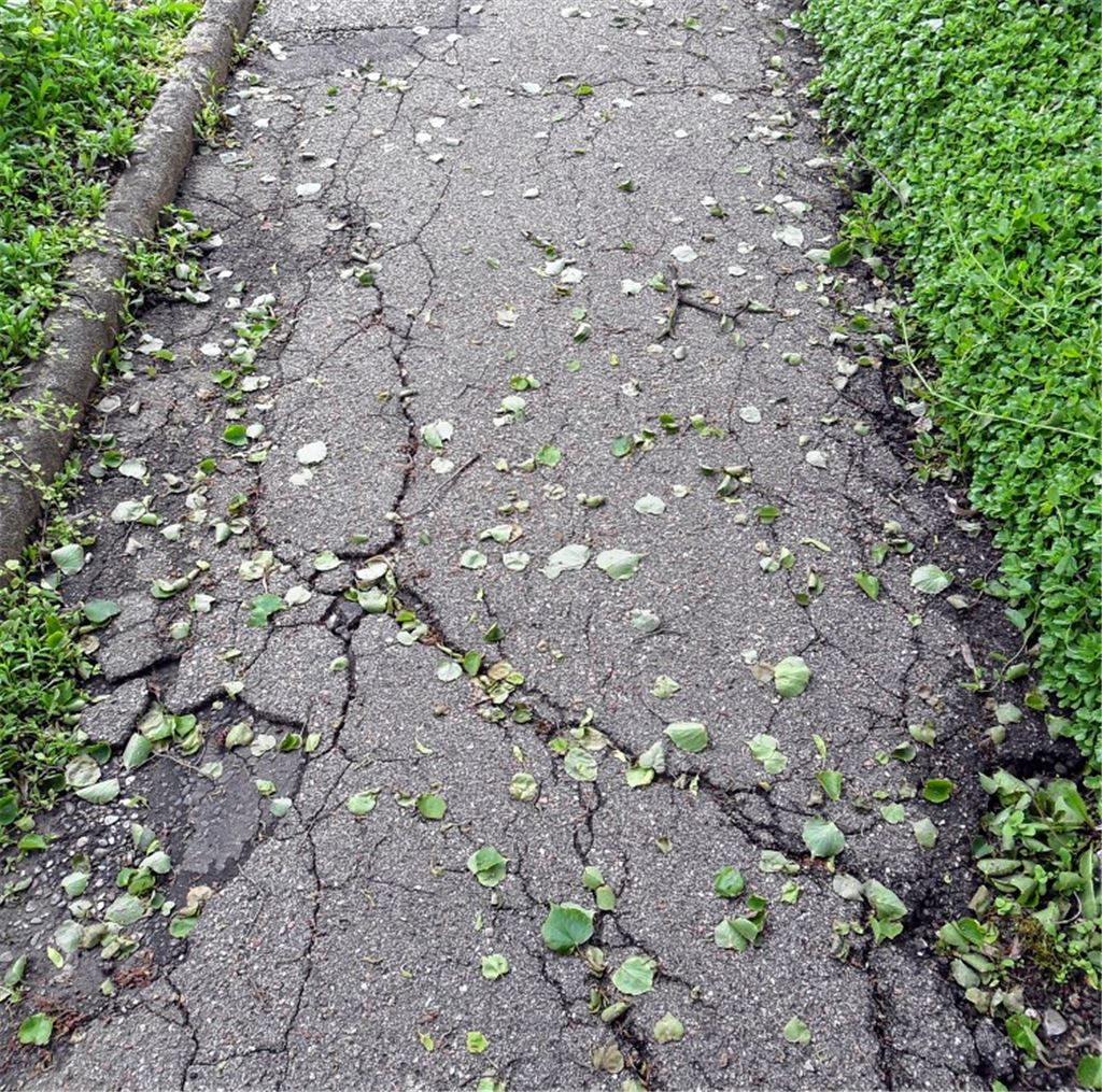Holprig: der südliche Friedhofsweg. Foto: privat