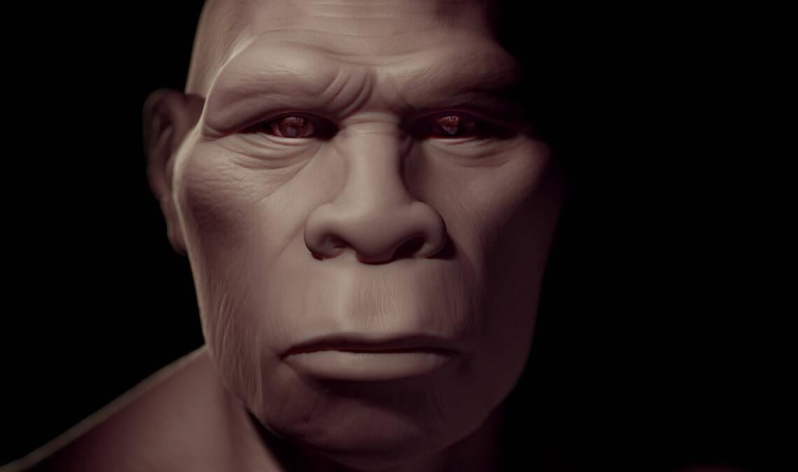 Homo erectus gilt als die erste Menschenart, die Afrika verließ und den eurpäischen und asiatischen Kontinent besiedelte.