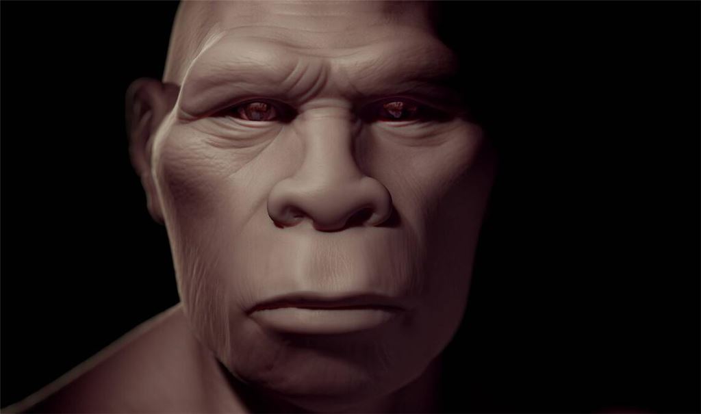 Homo erectus gilt als die erste Menschenart, die Afrika verließ und den eurpäischen und asiatischen Kontinent besiedelte.