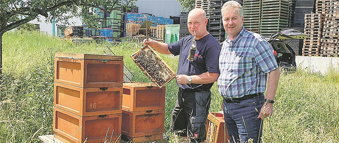 Honig aus den Waldäckern