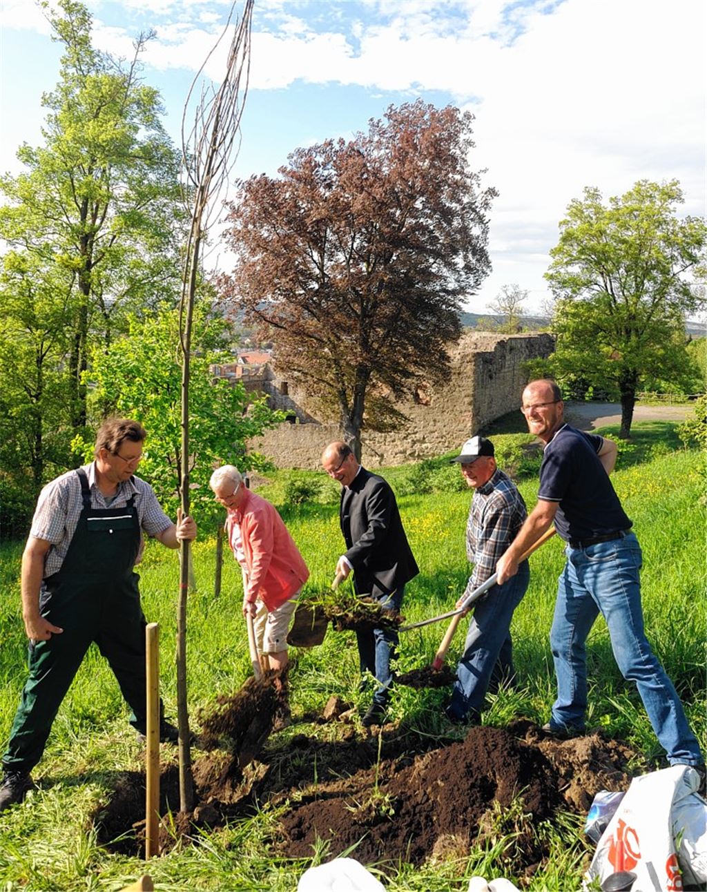 Tag des Baumes: Albverein pflanzt Esskastanie