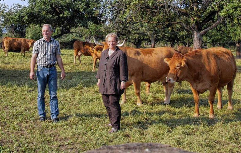 Horst Reiser posiert mit Regierungspräsidentin Nicolette Kressl vor der Mutterkuhherde. Bild re.: Im „Pflückzügle“ geht es zur Rundfahrt durch die Obstfelder in Pfinztal.