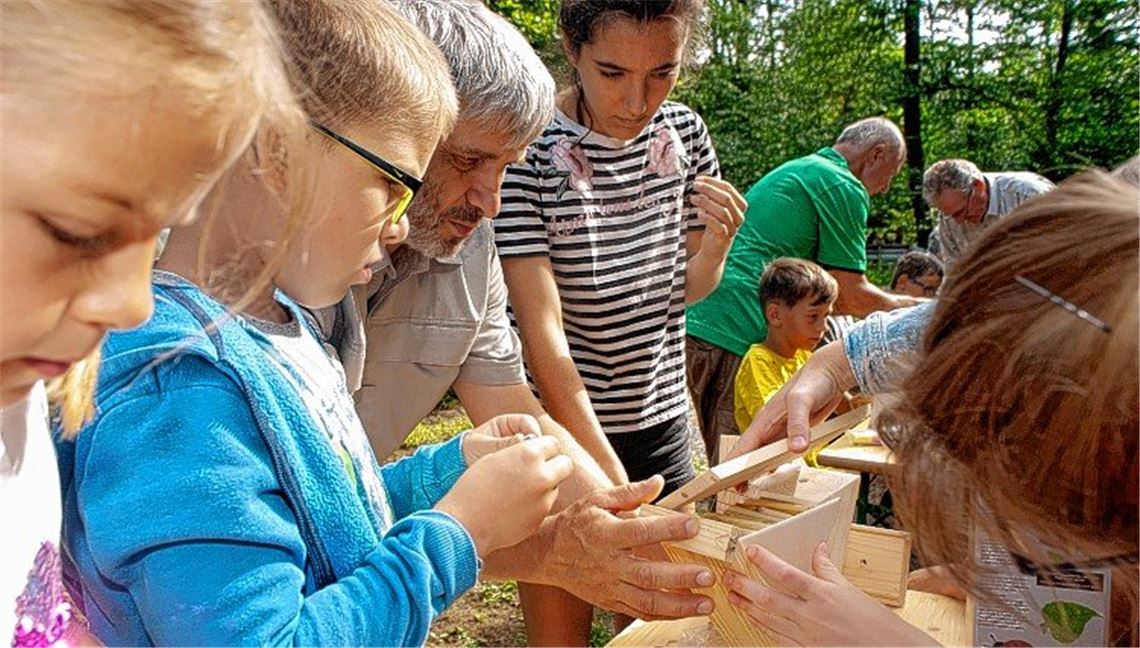 Hotels für Biene und Co.