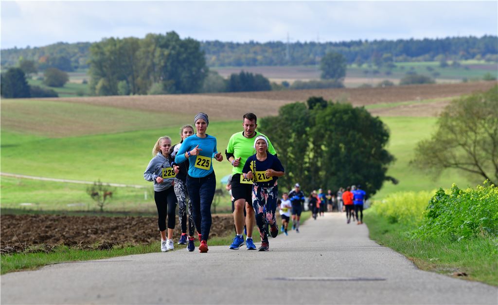 Auf und ab im Heckengäu