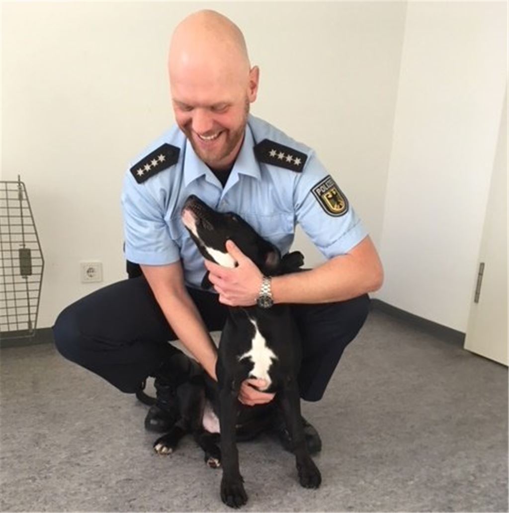 pol Hund in Zug ausgesetzt