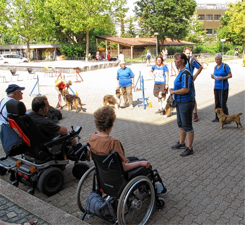 Hund und Mensch: Vorführung des Hundesportvereins Mühlacker.
